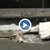 Опасни отломки падат на оживен площад в София