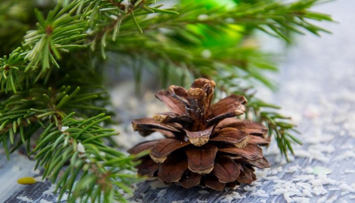 На 21 декември 17 часа и 59 мин. е зимното слънцестоене и започва астрономическата зима На 21 декември 17 часа и 59 мин. е зимното слънцестоене и започва астрономическата зима