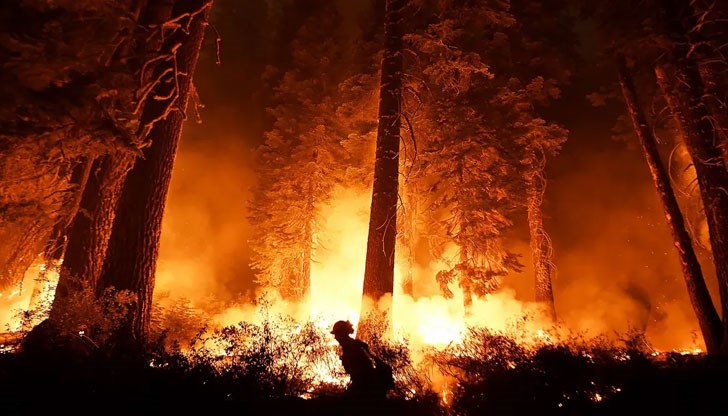 1 милиард и 760 милиона тона въглероден оксид в световен мащаб са били изхвърлени през тази година в атмосферата заради горски пожари