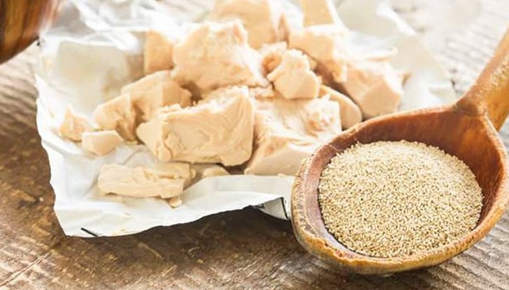 Маята по предназначение е хлебна и бирена, а по произход може да бъде бобова, хмелова и нахутова Маята по предназначение е хлебна и бирена, а по произход може да бъде бобова, хмелова и нахутова