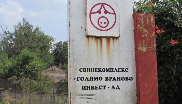 Фирмата временно спира да приема заявки на дребно, тъй като интересът към евтиното свинско месо е огромен, но не може да обслужи всички желаещи