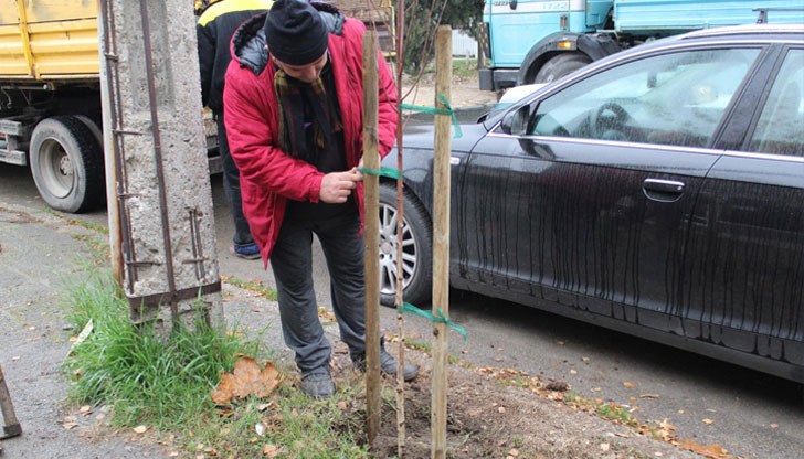 Успоредно с това са почистени и саморасли дървета, обясниха от Община Русе