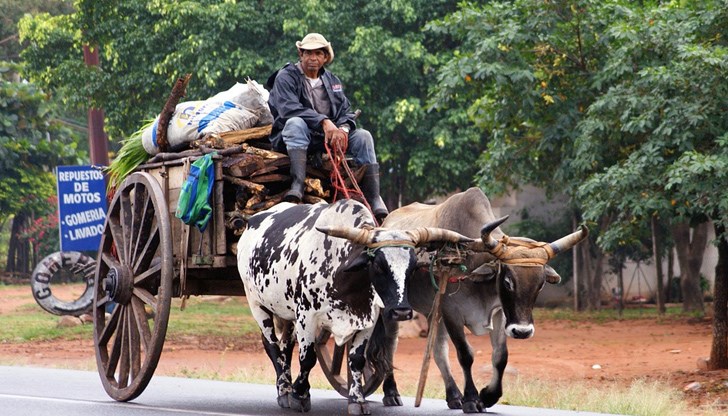Не всички в латиноамериканската държава обаче се радват на тези нови заселници