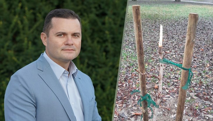 Необходимо ли е да поставим камери до всяко дръвче и пейка, за да гарантираме оцеляването им