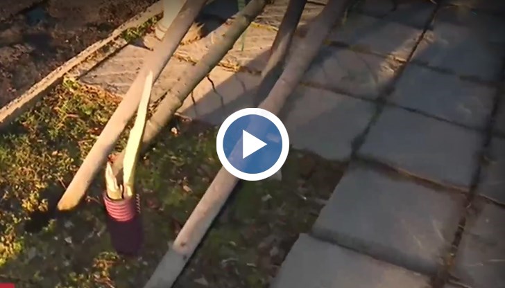 Според свидетели става въпрос за група от около четирима младежи