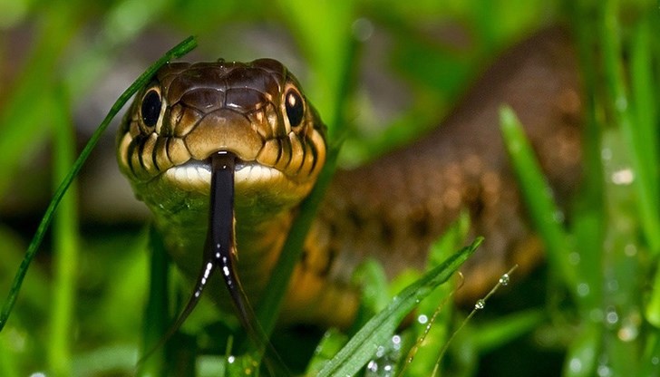 Виждали сме прокуратурата да действа с двоен аршин Виждали сме прокуратурата да действа с двоен аршин