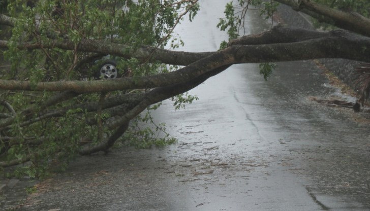 Сигналът е получен в 03:53 часа в РСПБЗН - Разград /Снимката е илюстративна/ Сигналът е получен в 03:53 часа в РСПБЗН - Разград /Снимката е илюстративна/