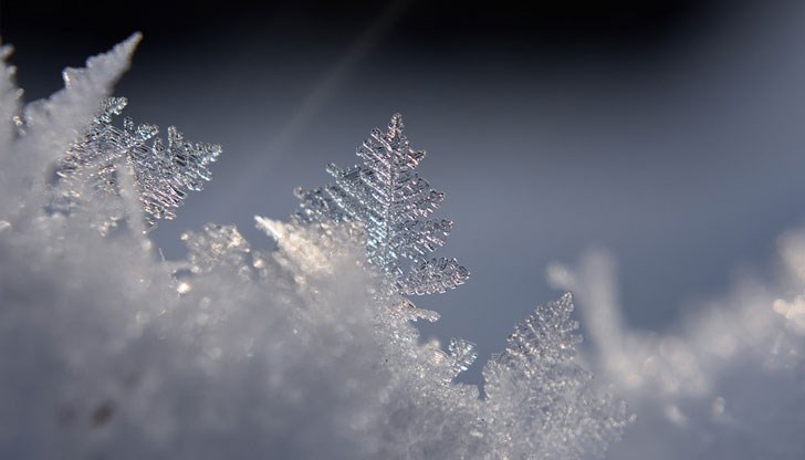 Вижте месечния хороскоп за всяка зодия Вижте месечния хороскоп за всяка зодия