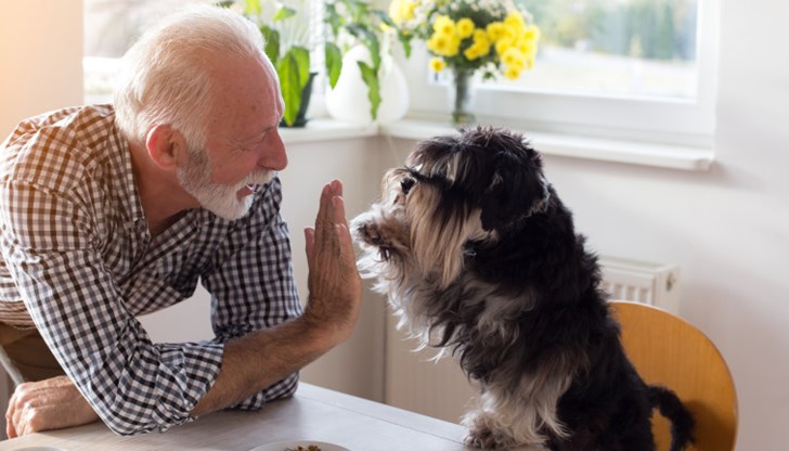 С куче до себе си е по-лесно човек да се справи с изолацията, страха, тъгата, предизвикани от пандемията С куче до себе си е по-лесно човек да се справи с изолацията, страха, тъгата, предизвикани от пандемията