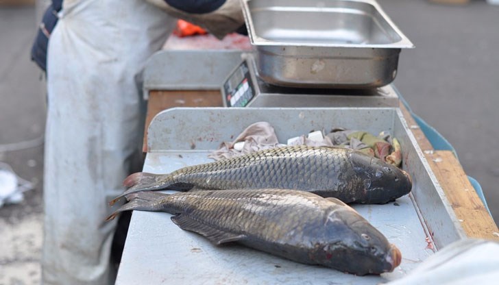 БАБХ призовава потребителите да купуват риба от регистрирани обекти, за да не се излагат на риск
