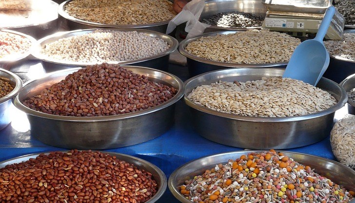 Основният им недостатък е, че са един от най-силните алергени