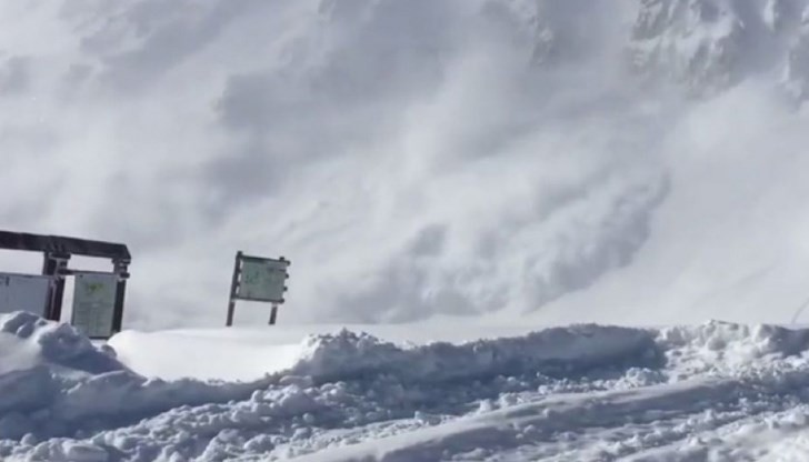 Те са били частично затрупани от снежните преспи