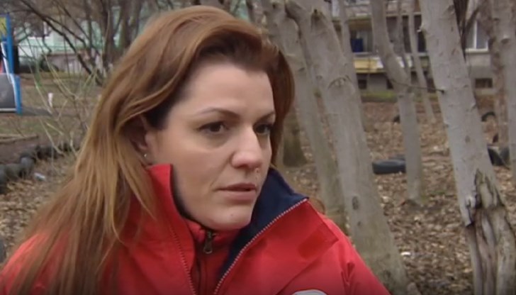 Все повече общини отменят празничните фойерверки в новогодишната нощ, но Русе не е сред тях