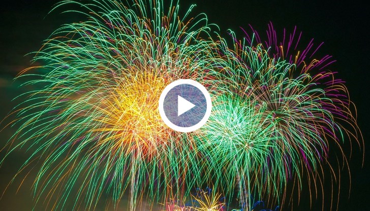 Кампания на фондация "Четири лапи" апелира към отказ от пиротехническите средства, защото са много стресиращи за домашните любимци