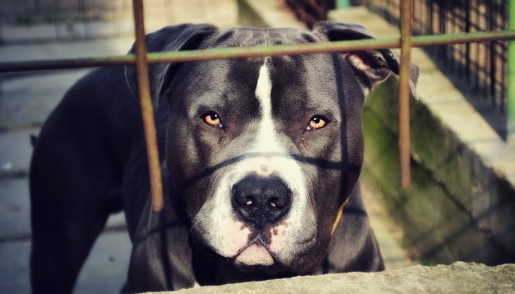 Жената е починала от нараняванията си