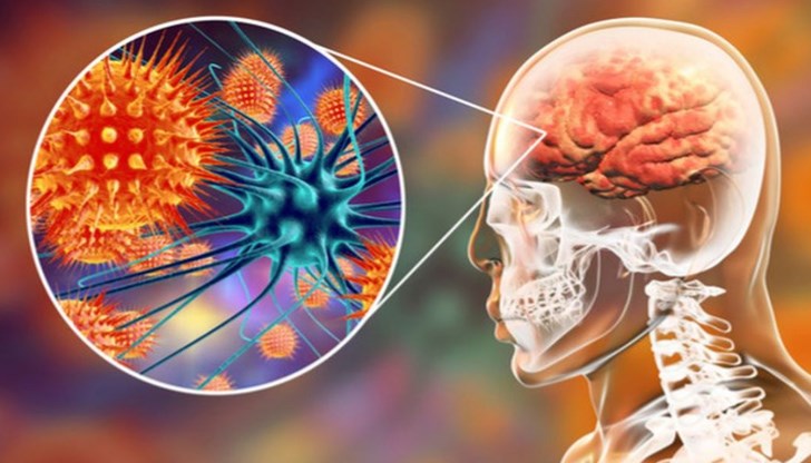 На 1 болен се падат около 2000 здрави заразоносители На 1 болен се падат около 2000 здрави заразоносители