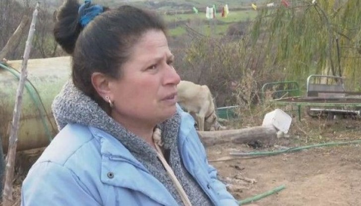 Психологът проф. Калин Гайдаров смята, че стрелецът е трябвало да е под наблюдение