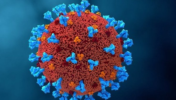 Това е комбинация между щамовете Delta и Omicron Това е комбинация между щамовете Delta и Omicron