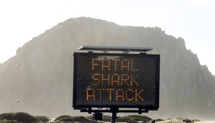 На 24 декември сърфист бе нападнат от акула и след това изчезна