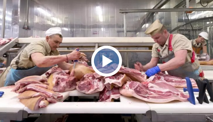 Според Яна Бернхард българите са третирани като хора втора ръка