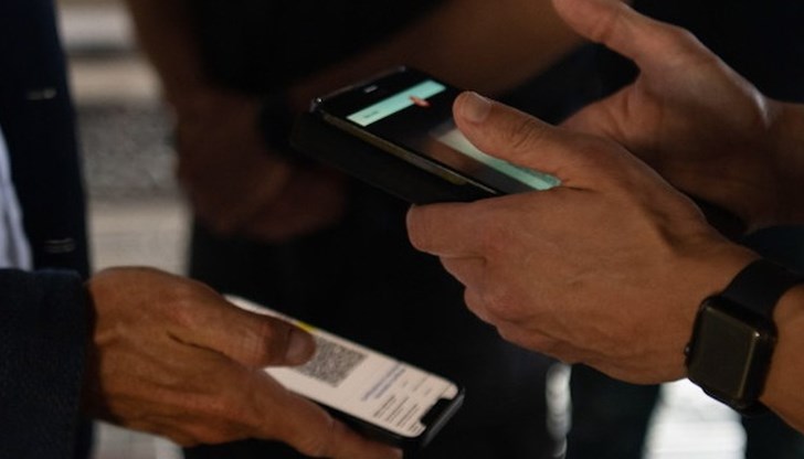 Разследващите обаче смятат, че реалният брой е в пъти по-голям