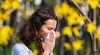 Как климатичните промени влошават алергиите?