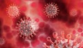 Учени: "Flurona” и „Delmikron” не са нови вируси