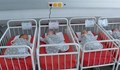 Рекордно малко бебета са се родили в ловешката болница през 2021 година