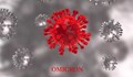 Водещи вирусолози предричат край на пандемията след масовото заразяване с "Омикрон"