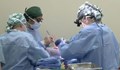 Трансплантираха бъбреци от прасе на мъж в мозъчна смърт