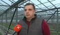Скок на цените на оранжерийните зеленчуци се очаква през пролетта