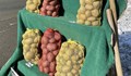 Субсидираните европейски картофи убиват вкусния самоковски картоф
