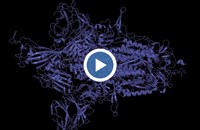 Ето как изглежда Омикрон