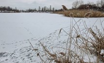 Езеро в София замръзна в януарския студ