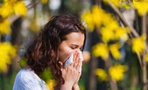 Как климатичните промени влошават алергиите?