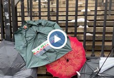 Организатори са бившите депутати Николай Хаджигенов и Арман БабикянФлашмоб пред