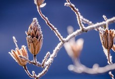 Днес облачността над южните райони ще се разкъса и след