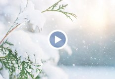 Синоптикът Анастасия Стойчева с прогноза за времето през седмицатаЖълт код