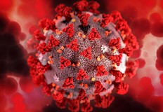 3 годишно дете е сред жертвите на COVID 19 за изминалото денонощие Това