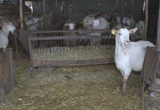 В края на миналата година ви разказахме история за изгубени