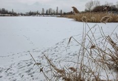 Заради януарския студ и отрицателните температури в последните дни езерото