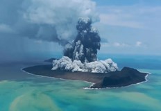 Фолау е намерен в неделя вечерта встрани от път до