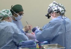 Тези резултати са забележително постижение за човечеството и въвеждат ксеноприсадките