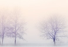 През нощта облачността ще се увеличи над цялата страна но