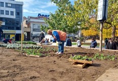 Близо 1500 тона отпадъци от нерегламентирани сметища почисти ОП Паркстрой Русе Над