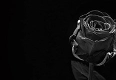 След кратко боледуване на 28 01 2022 г ни напусна многоуважаваният преподавател