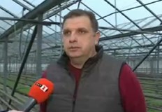 Скок на цените на оранжерийните зеленчуци се очаква през пролетта