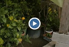 Климатичнтите промени и у нас са на път да объркат