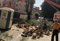 Кметът на Русе Пенчо Милков даде разяснения на вчерашната сесия