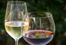 На пръв поглед отговорът е очевиден когато се произвежда вино